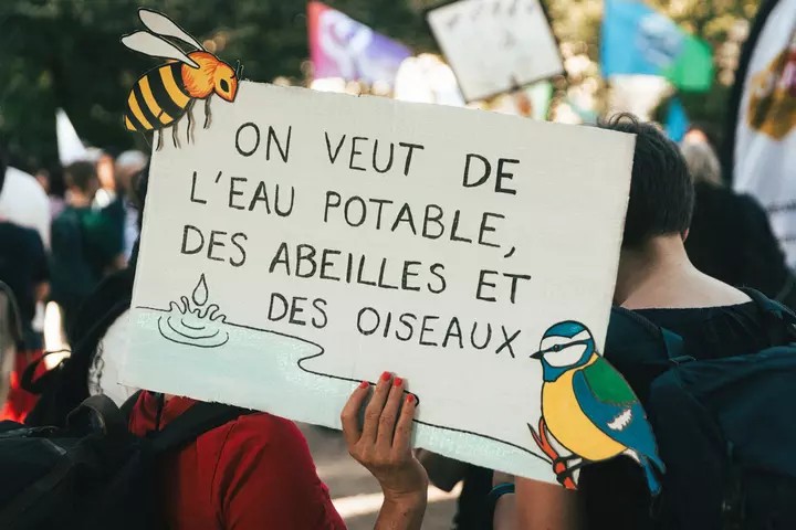 Un mois de juillet bien mal en point 